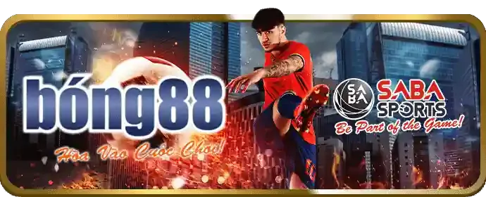 Huy hiệu bảo mật của Bongvip