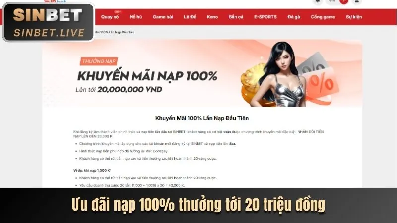Đăng ký thành viên VIP bongvip code